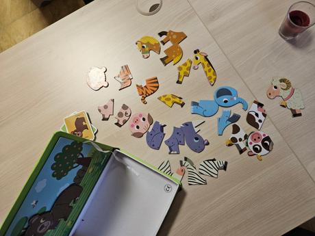Puzzle djeco a magnetic book,