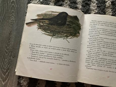 Dievčatko bridinetta prvé vyd.1978,