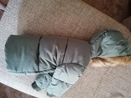 Zara paperova bunda, zara,86