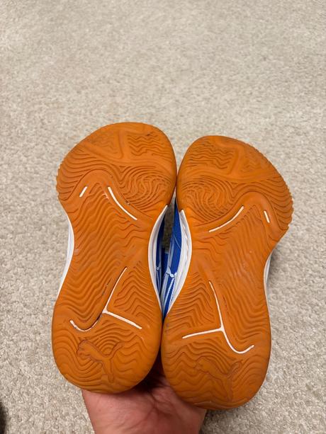 Botasky puma, puma,31