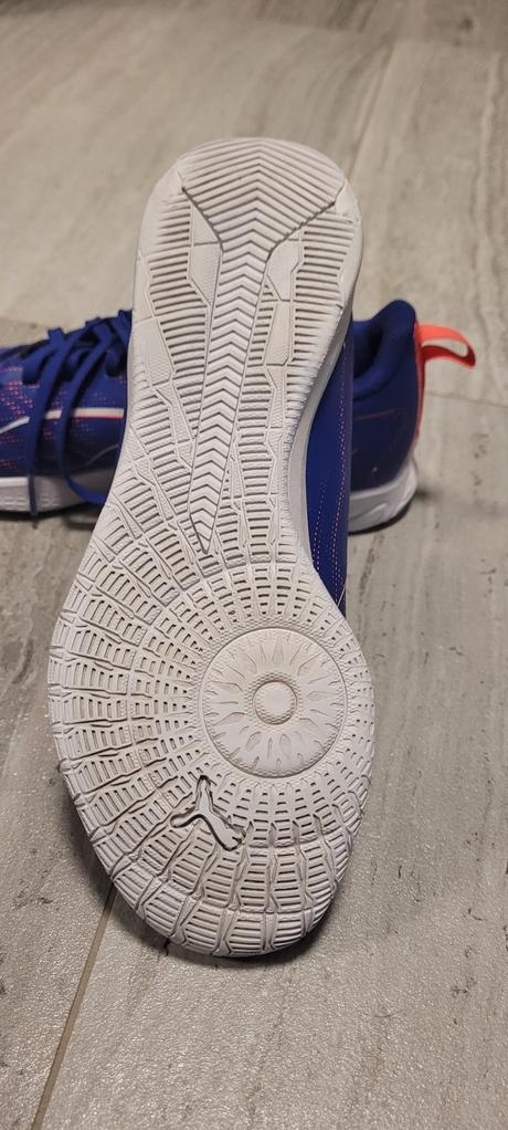 Halovky puma, puma,37