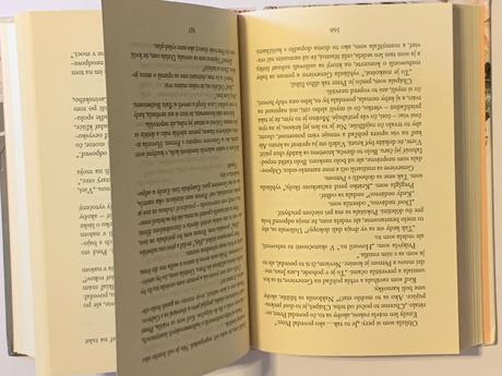 Jenny hanová - všetkým chalanom, ktorých som milov, 