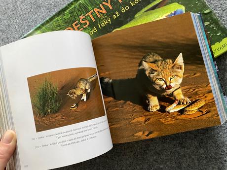 Dve náučné knihy, 