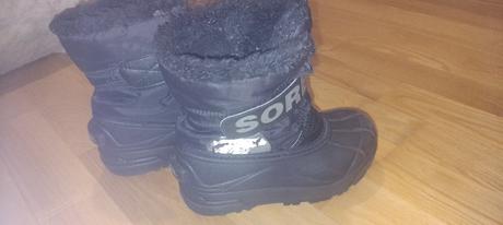 Snehule sorel, sorel,29