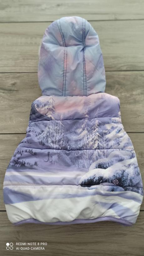 Vesta frozen 86, disney,86