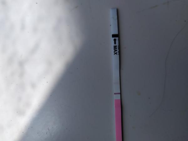 Mám podľa vás plodné dni?