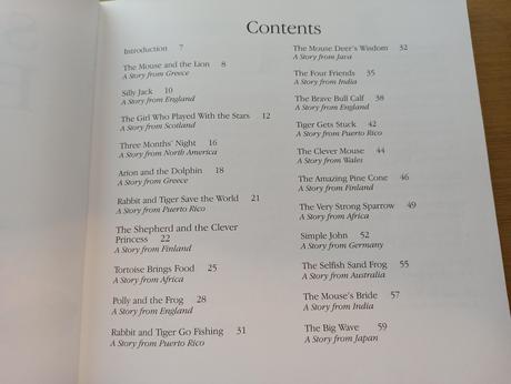 The lion storyteller bedtime boook, 