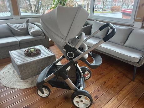 Kočík stokke crusi, stokke,stokke crusi