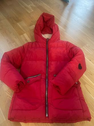 Zara paperova bundicka 152, zara,152