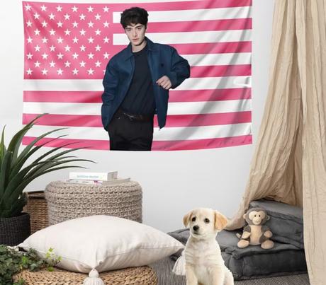 Vlajka, nástenná dekorácia noah schnapp - stranger,