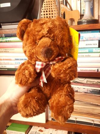 Vintage plyšový medvedík, 