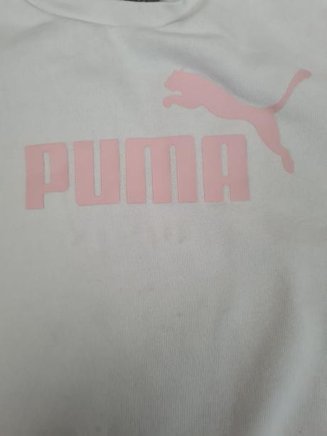 Puma súprava, puma,104