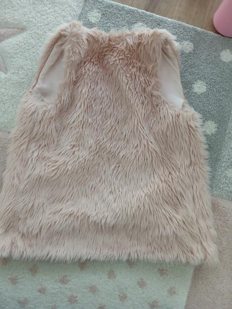 Krásna bledoruzova chlpata vesta, 128