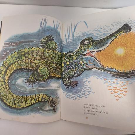 Ukradnuté slniečko,