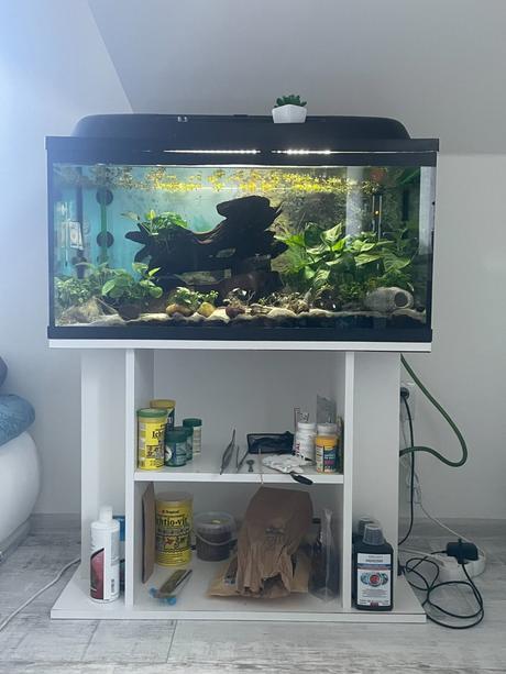 Akvarium - 100l,