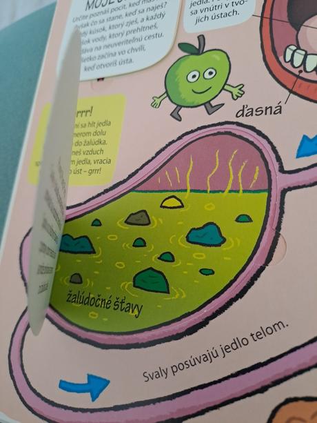Kniha moje úžasné telo, 
