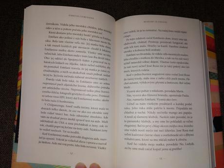 Modlitby za unesené - jennifer clementová, 