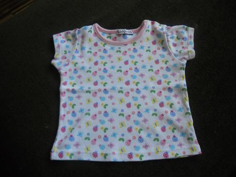 2x ladybird-krásne, ladybird,74