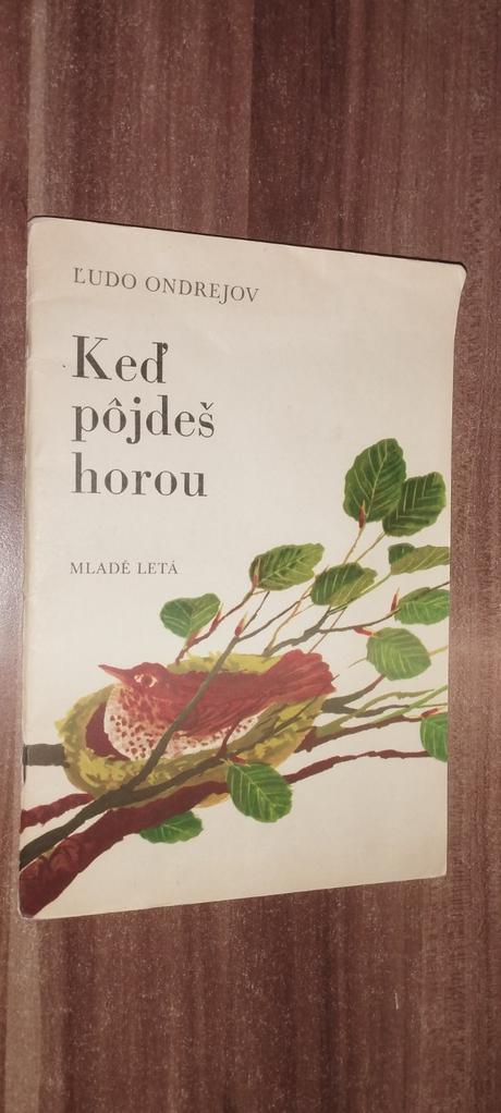 Keď pôjdeš horou, 