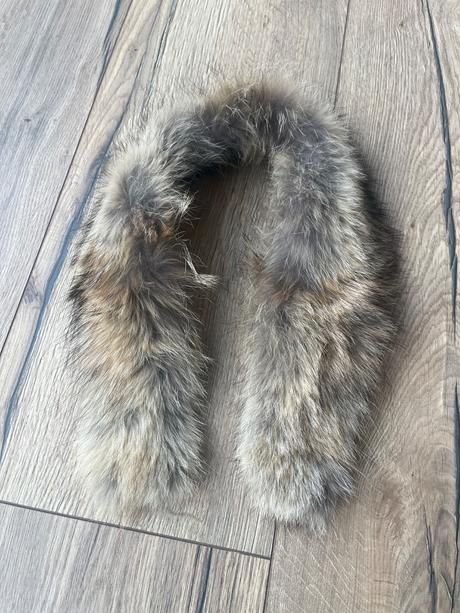 Golier liska sportalm, 