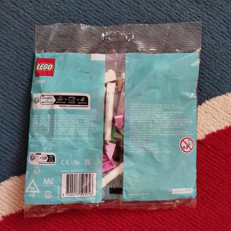 Lego disney 30661 z filmu wish,