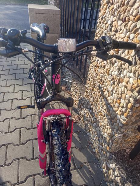 Dievčensky bicykel, 24