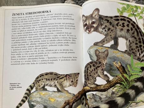 Zvieratá európy-prvé vyd.1997, 