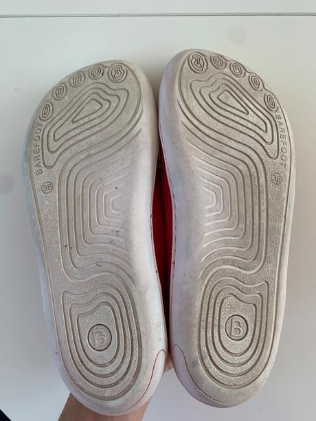 Blifestyle crocodile, 36