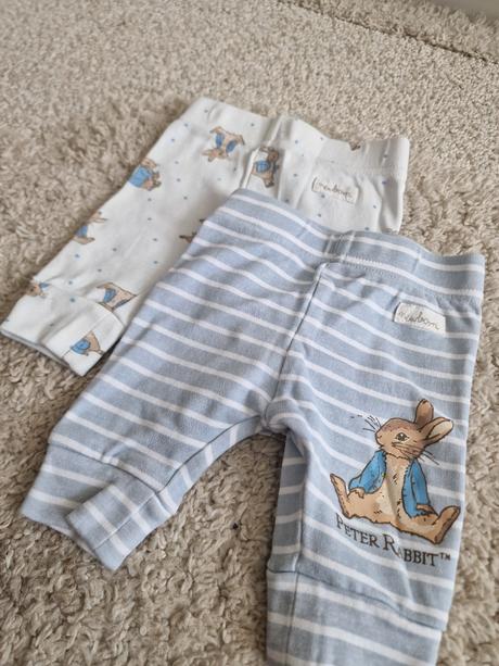 Peter rabbit sinsay, sinsay,56