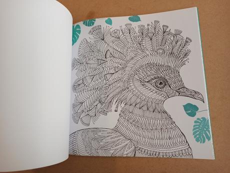 The aviary - bird portraits to colour, 