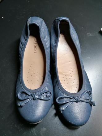 Baleriny modré, lasocki,31