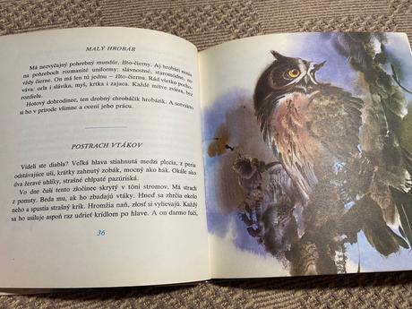 Retro kniha biely zvonček ladislav kuchta 1980, 