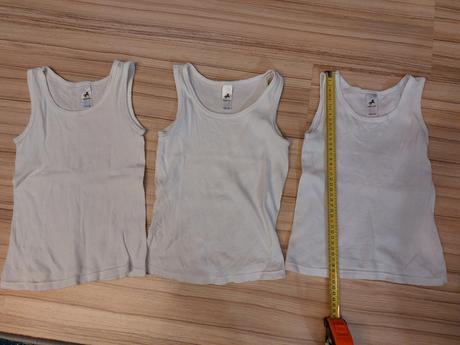 Tielka, palomino,122