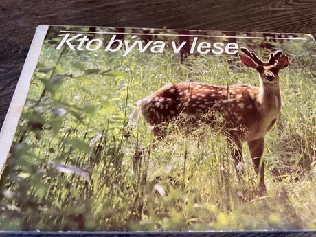 Staré retro leporelo kto býva v lese 1989,