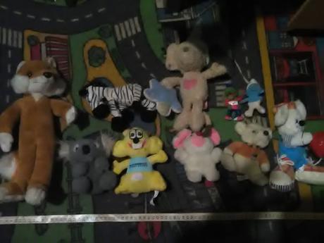 Zbierka plyšákov, 