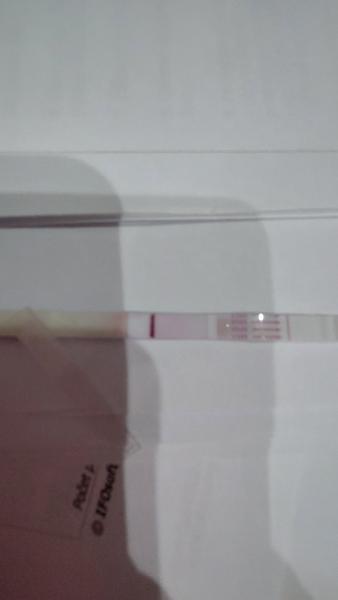 Môže ísť opäť o tehotenstvo?