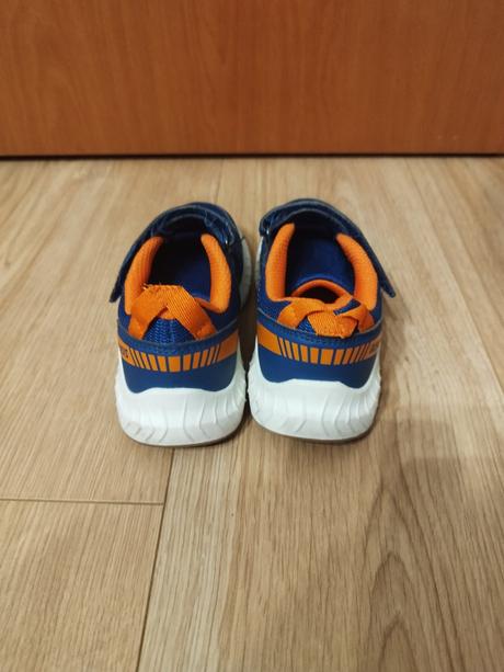 Halovky v. 29 zn. kensis, 29