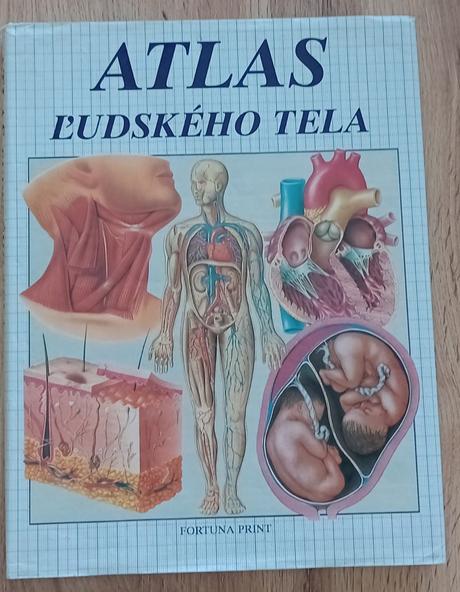 Atlas ľudského tela, 