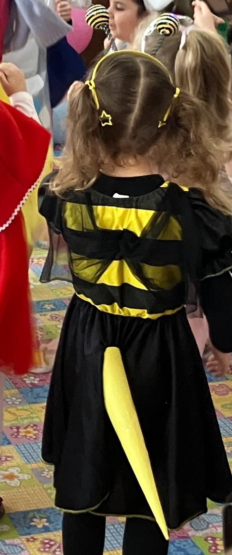 Kostým včielka, 