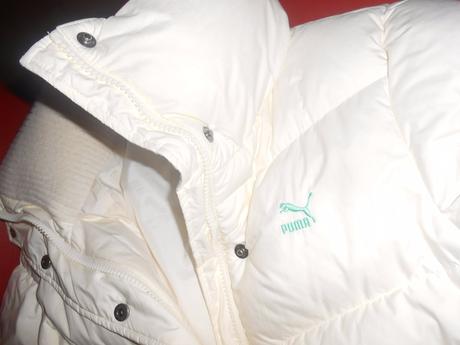 Bundička puma, puma,s