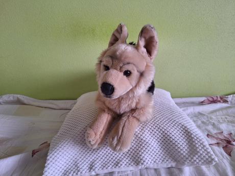 Plyšový psík, 