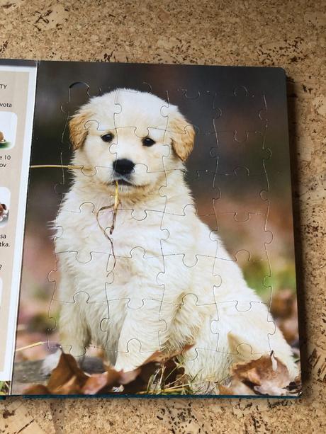 Kniha s puzzle domáce zvieratká,