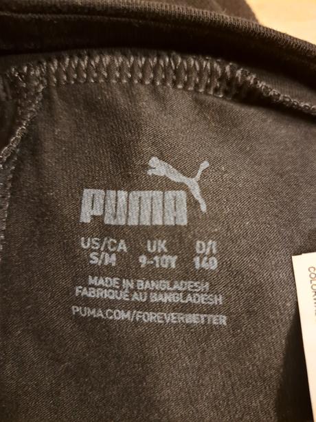 Leginy, v.140, puma,140