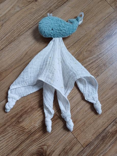 Mojkáčik veľryba, 