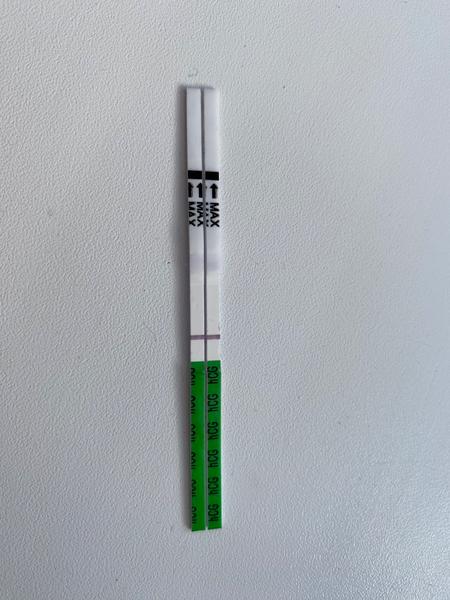 Duch na testoch Maybebaybe