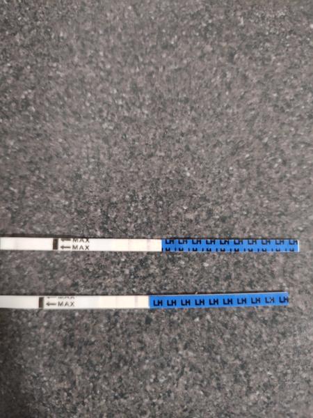 Dva testy pozitívne a dva negatívne