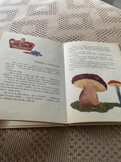 Stará retro kniha o parádnici lienke hana ponická,