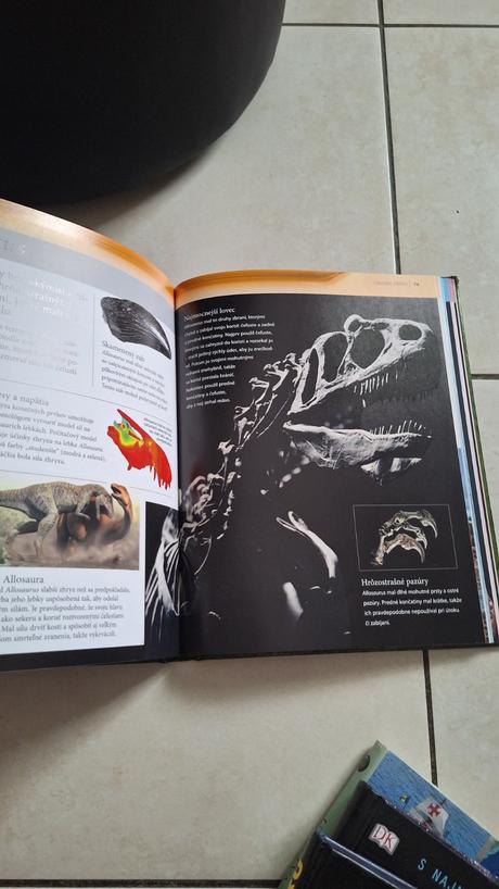 Dinosaury enciklopedia,