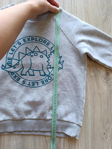 Chlapčenská sivá mikina s dinosaurom, f&f,116