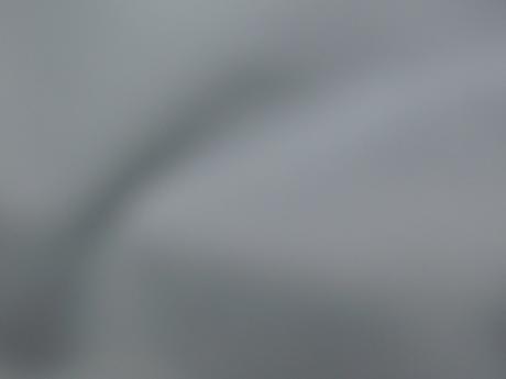 Crane damske leginy 44/46 l, 44